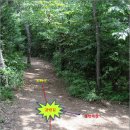 봉화산등산로 이미지