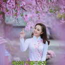 부산장 이미지