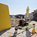 솔정펜션 이미지