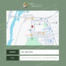 김원장면역테라피 이미지