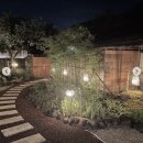 베지아웃 이미지