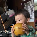 오촌농장 이미지