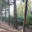 박태호농장 이미지