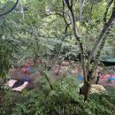 장척계곡가든 이미지