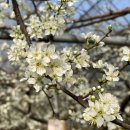 최재용농장 이미지