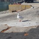 항촌소공원 이미지