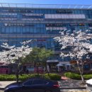 해운대힐스테이트위브 상가 앞 이미지