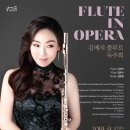 플루트 이미지
