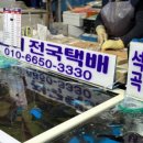 석곡관광횟집