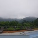 우다다애견펜션 이미지