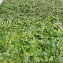 금옥축산 이미지