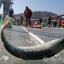 문양낚시터 이미지