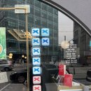 향연 | 성수역맛집 성수동중식당 성수동에서 발견한 찐 중식 맛집 성수속향연 솔직 방문 후기