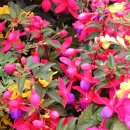 세븐일레븐(창원외동점) 이미지