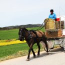 가곡농장 이미지