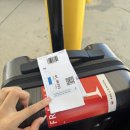 바하마 | [MSC 크루즈 내돈내산 후기] 플로리다 올랜도 바하마 비자 체크인 신혼여행 돼지섬 돼지 해변 가격 주의...