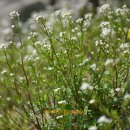 CU한라비발디 이미지