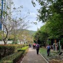 9월22일 (월) 벡스코역~반송 영산대 (해운대 장산누리길) 이미지