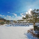 세종전통장류박물관 이미지