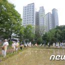 법인마들 이미지