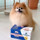 친환경화식농장 | 강아지화식 @ 앤서스펫푸드🐶 미국 발효화식 노견 급여 후기