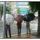 햇빛부동산중개사무소 이미지