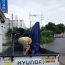 벧엘(Bethel) | [출고 후기] 비 오는 날도 안전하게! 벧엘 중고 탁구대 충북 음성 독차 용달 출고 🚚🌧️