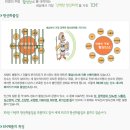 EM(이엠) 이미지