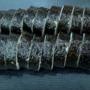 정가네김밥 이미지