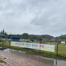 와~스타디움 내(서측 입구) | 무료 안산 와스타디움 강아지 놀이터 산책 하기 좋은 곳