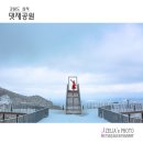 댓재공원 티스토리