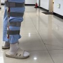 올드짐 혁신점 | [251208월-1214일] 출근 93주차; 록이 병문안, 남해 여행