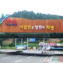 영남디앤지 이미지