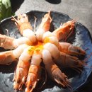 애월제주돈 이미지