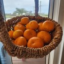 널개왓 | 제주도 돌 아기 여행 펜션 추천 &#39;널개왓&#39; 이용 후기 / 협재 해수욕장 근처 2층 독채 펜션