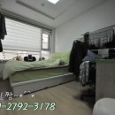 종인아네스트 이미지