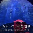 부산아쿠아리움 할인받고 가는 법ㅣ여행특공대 티켓 + 36개월 무료입장 총정리