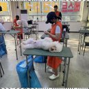 베스트의정부애견미용학원