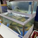 주정차106 이미지