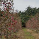 계촌 농장 이미지