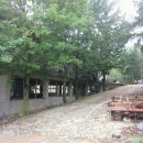 광일목장 이미지