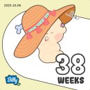 월드VIP세탁 | 2025 임신 38주차 10월 둘째 주간 (10.6~10.12) (feat 출산 전 마지막 진료)