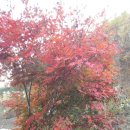 창현농장 이미지