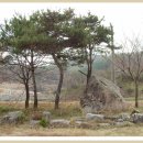 산안리 Daum카페
