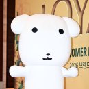 실시간 가나디 포토월 이미지