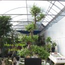 신목농장 이미지