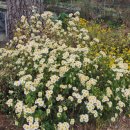 가조보건지소 이미지