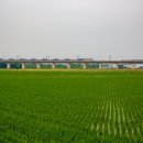 시후농장 이미지