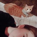영인일본입시연구소 이미지