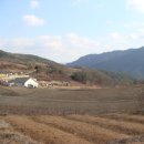 내와분교 이미지